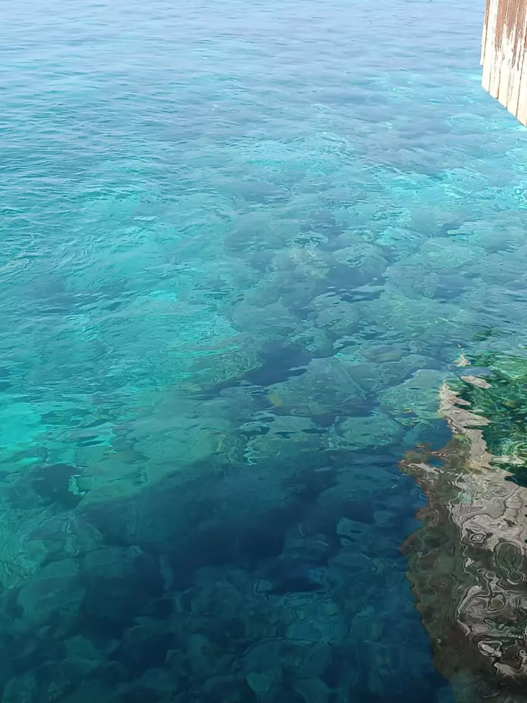 Clear shallow water over a coral reef with the drop-off visible in the Maldives