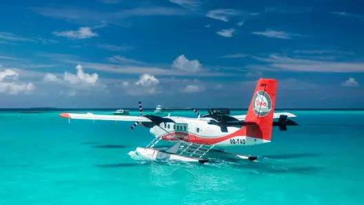 Getting to Your Maldives Resort: Speedboat, Seaplane, or Domestic Flight? - foto № 14