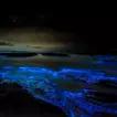 Bioluminescent Beaches in the Maldives: When the Ocean Glows Blue at Night - foto № 10