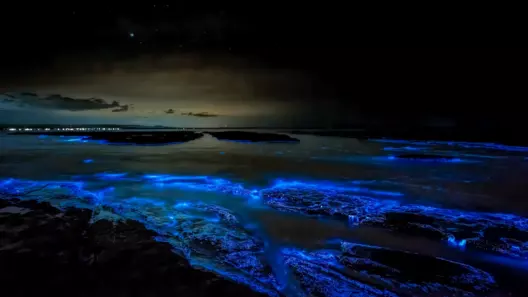 Bioluminescent Beaches in the Maldives: When the Ocean Glows Blue at Night 14 Bioluminescent Beaches in the Maldives: When the Ocean Glows Blue at Night - foto № 14