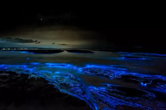 Bioluminescent Beaches in the Maldives: When the Ocean Glows Blue at Night - foto № 10