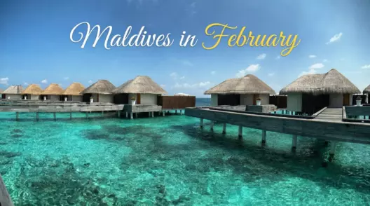 Maldives in February — Is It Really Worth the Trip? Weather, Beaches and Real Traveler Reviews - foto № 8