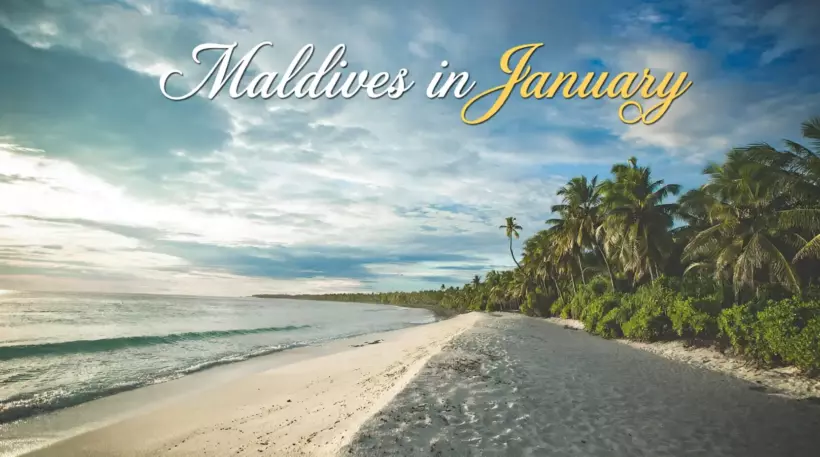 Maldives in January: Is It Worth Visiting This Month? - foto № 5