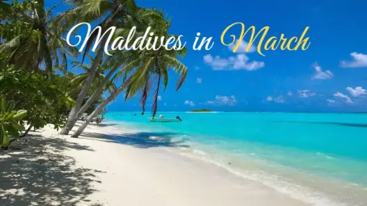 Maldives in March: Is It Worth Going? Weather, Beaches, and Real Traveler Insights 14 Maldives in March: Is It Worth Going? Weather, Beaches, and Real Traveler Insights - foto № 14