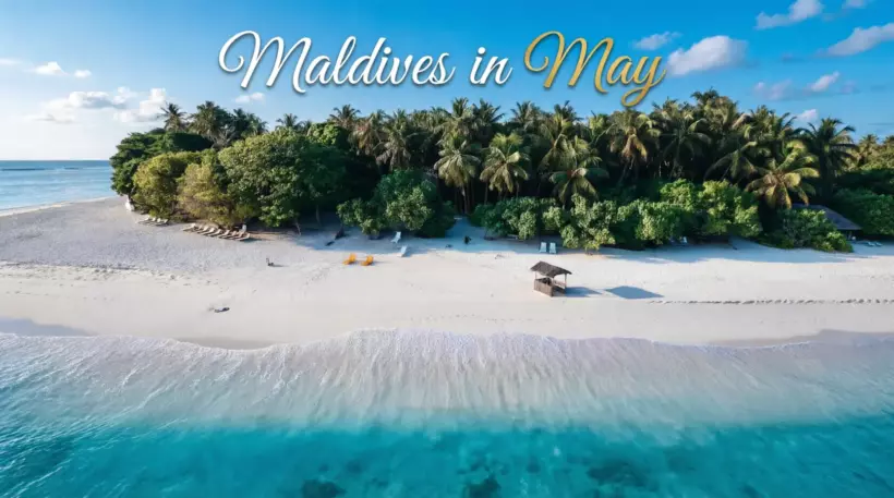 Maldives in May: Is It Worth Going? The Honest Guide to Weather, Atolls, Wildlife and Real Deals - foto № 5
