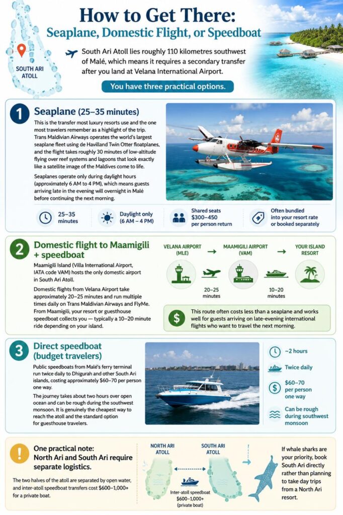 South Ari Atoll (Alifu Dhaalu): The World's Most Reliable Place to Swim With Whale Sharks 6 South Ari Atoll (Alifu Dhaalu): The World's Most Reliable Place to Swim With Whale Sharks - foto № 6