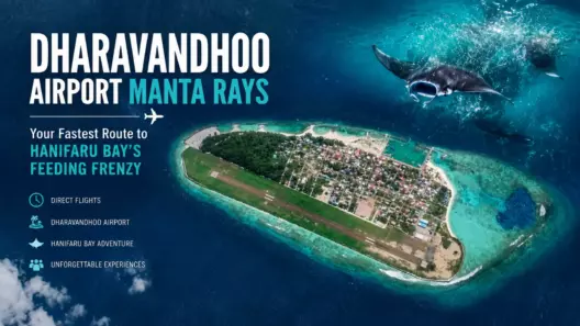 Dharavandhoo Airport: The 20-Minute Flight That Puts You Minutes From 200 Manta Rays - foto № 7
