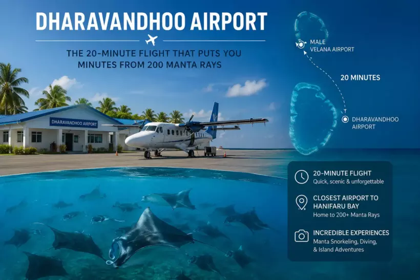 Dharavandhoo Airport: The 20-Minute Flight That Puts You Minutes From 200 Manta Rays - foto № 5