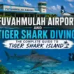 Fuvahmulah Airport and Tiger Shark Diving: The Complete Guide to Tiger Shark Island - foto № 10