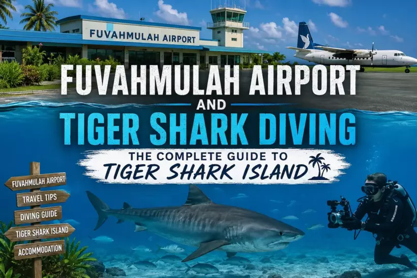 Fuvahmulah Airport and Tiger Shark Diving: The Complete Guide to Tiger Shark Island - foto № 5