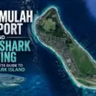 Fuvahmulah Airport and Tiger Shark Diving: The Complete Guide to Tiger Shark Island - foto № 12