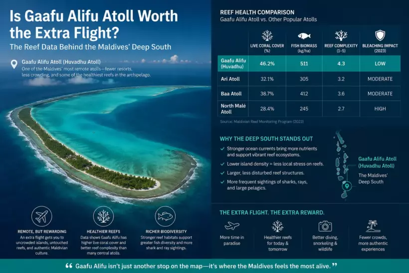 Is Gaafu Alifu Atoll Worth the Extra Flight? The Reef Data Behind the Maldives' Deep South - foto № 5