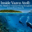 Inside Vaavu Atoll: The Maldives' Channel-Diving Stronghold Serious Divers Swear By - foto № 9