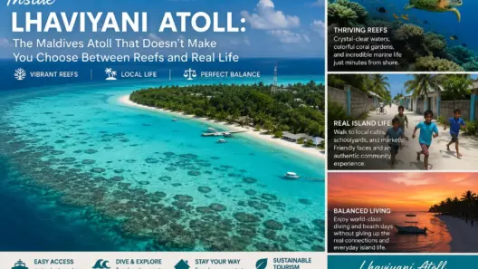 Inside Lhaviyani Atoll: The Maldives Atoll That Doesn't Make You Choose Between Reefs and Real Life 15 Inside Lhaviyani Atoll: The Maldives Atoll That Doesn't Make You Choose Between Reefs and Real Life - foto № 15