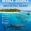 Beyond the Whale Sharks: A Traveler's Guide to North Ari Atoll, Maldives - foto № 10