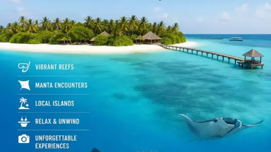 Beyond the Whale Sharks: A Traveler's Guide to North Ari Atoll, Maldives 13 Beyond the Whale Sharks: A Traveler's Guide to North Ari Atoll, Maldives - foto № 13