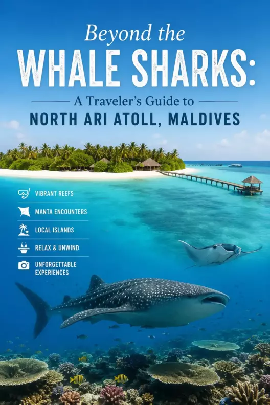 Beyond the Whale Sharks: A Traveler's Guide to North Ari Atoll, Maldives - foto № 8
