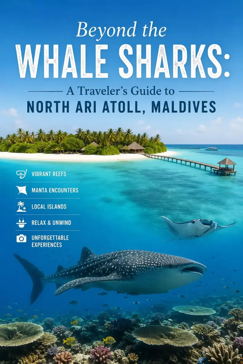 Beyond the Whale Sharks: A Traveler's Guide to North Ari Atoll, Maldives - foto № 5