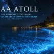 Raa Atoll: The Maldives Atoll Where the Sea of Stars Glows Every Night - foto № 10