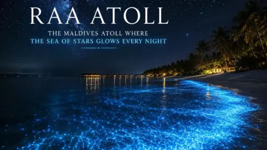 Raa Atoll: The Maldives Atoll Where the Sea of Stars Glows Every Night 16 Raa Atoll: The Maldives Atoll Where the Sea of Stars Glows Every Night - foto № 16