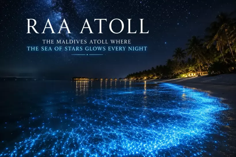 Raa Atoll: The Maldives Atoll Where the Sea of Stars Glows Every Night - foto № 5