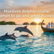 Dolphin Cruises in the Maldives: Why the Sunset Departure Works - foto № 9
