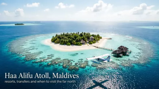Haa Alifu Atoll and What Bad Timing Costs You – Two Resorts and a Palace - foto № 13