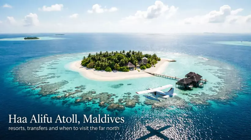 Haa Alifu Atoll and What Bad Timing Costs You – Two Resorts and a Palace - foto № 5
