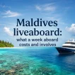 The Hotel That Moves: Liveaboards in the Maldives - foto № 9