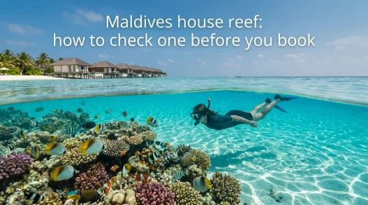 Choosing a Resort by Its House Reef: Read the Colour of the Water - foto № 2