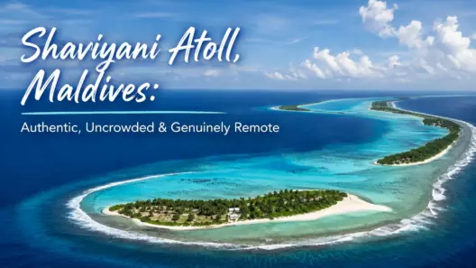 Why Shaviyani Atoll Costs More to Reach Than It Looks — and Who Should Still Go - foto № 11