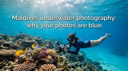 Underwater Photography in the Maldives: Red Disappears at Five Metres - foto № 1