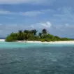 Rasdhoo Atoll: Hammerheads From a Guesthouse - foto № 10