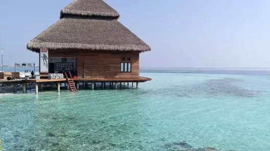 What Changes When You Cross the Waterline: Resort Island vs Local Island in the Maldives - foto № 6