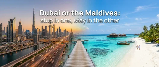 Maldives or Dubai: You Are Probably Flying Through One to Reach the Other - foto № 6