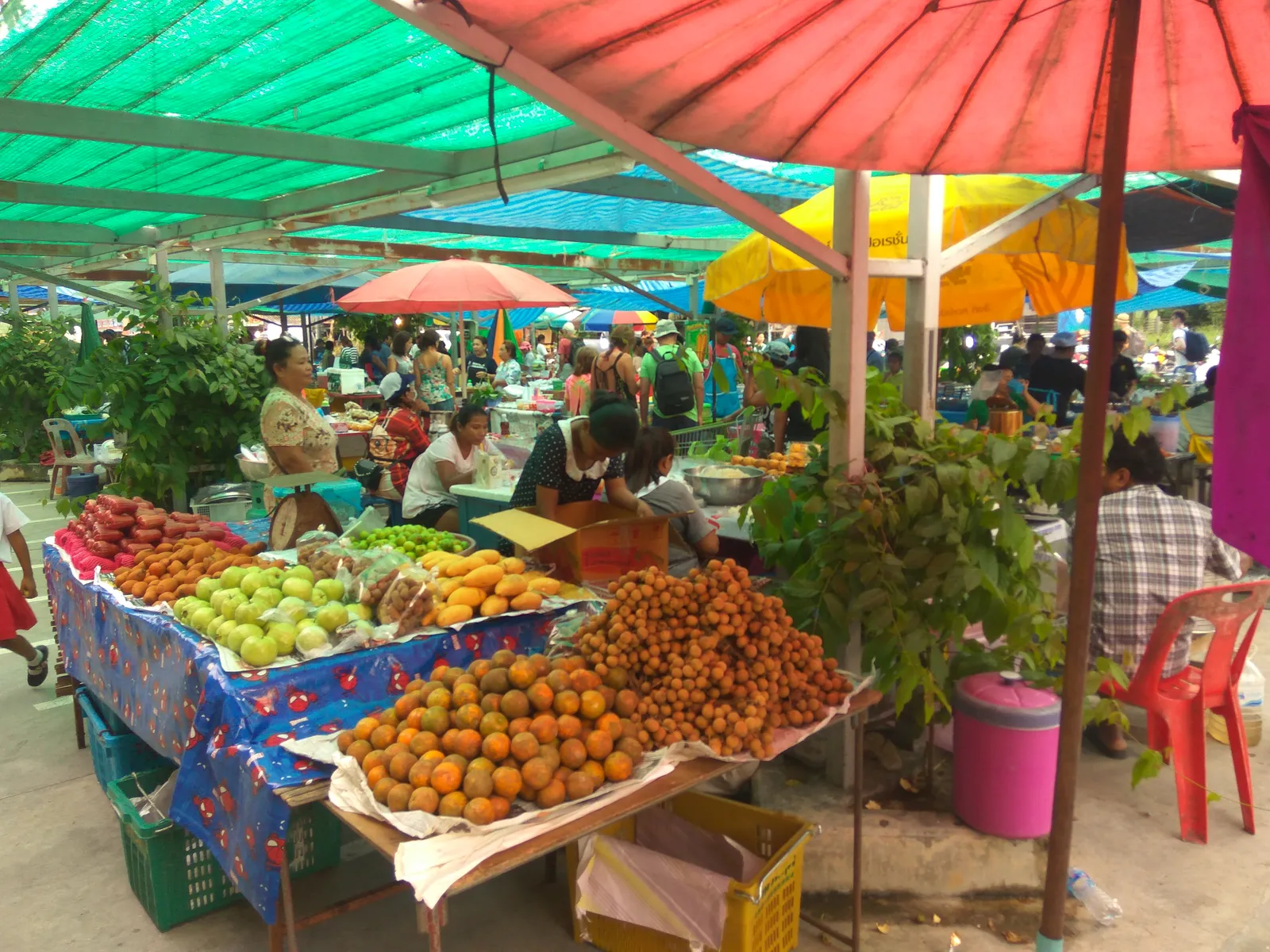  Fruit and produce market with vendors under umbrellas